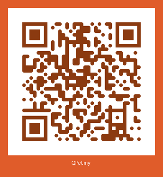 QR-код карточки Босс