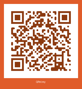 QR-код карточки Бурана