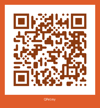 QR-код карточки Пират